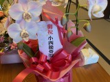flower gift